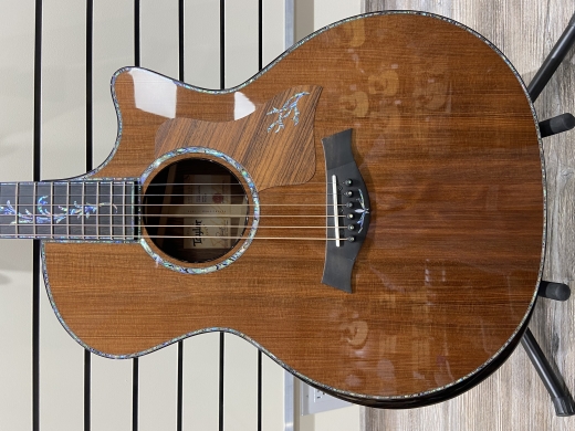 Store Special Product - Taylor Guitars - PS14CE H RW